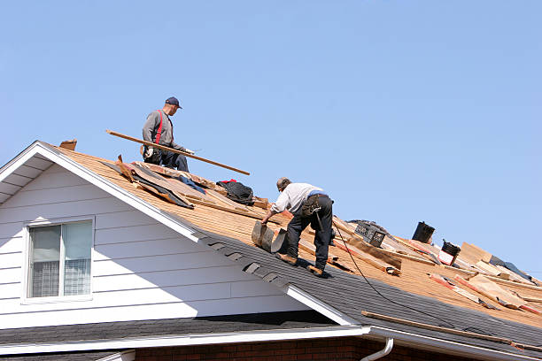 Best Skylight Installation and Repair  in Salem, SD